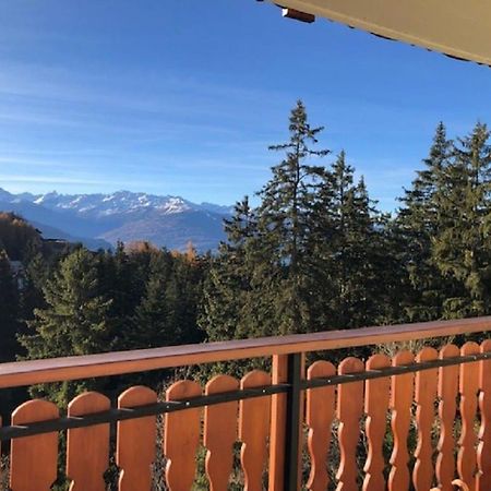 Between Slopes And Golf Facing The Alps Crans-Montana Zewnętrze zdjęcie